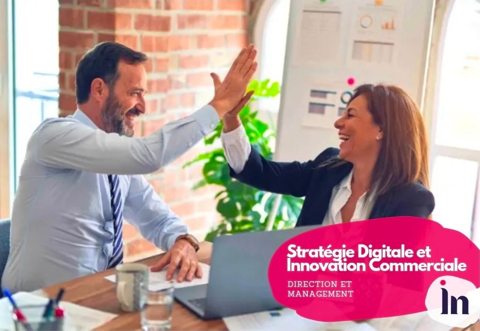 Stratégie Digitale et Innovation Commerciale